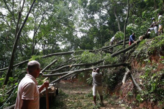 No último dia 7, a chuva que caiu sobre o Rio de Janeiro causou alagamentos, quedas de árvores e deixou sete mortos