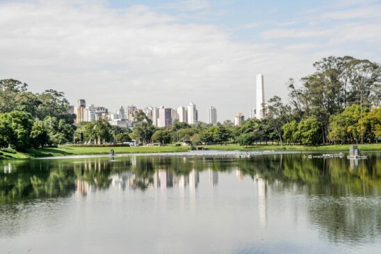 A Construcap deverá administrar o Ibirapuera (foto) e cinco outros parques em São Paulo