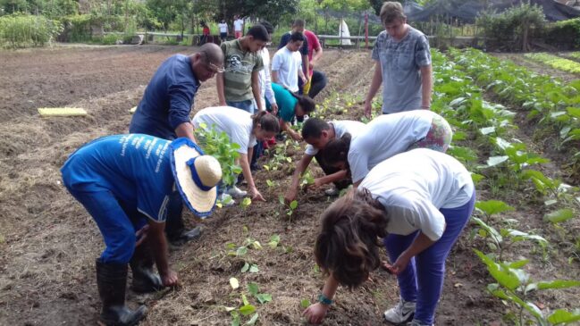 Alunos da Associação de Pais e Amigos dos Excepcionais participam de plantio na Horta Comunitária em Porto Feliz na última segunda-feira