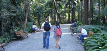 Parque Trianon, na avenida Paulista, região central de São Paulo