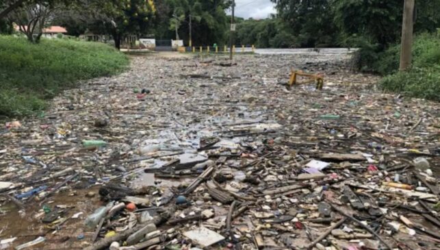 Essa foi a terceira vez este ano que o lixo trazido pelo rio da Região Metropolitana de São Paulo se acumula em ruas da cidade