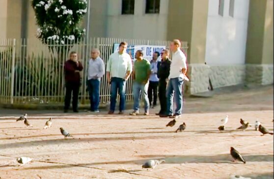 Após análise da Secretaria do Meio Ambiente, os oitis servem de poleiro para os pombos e a sua retirada vai forçar a dispersão das aves