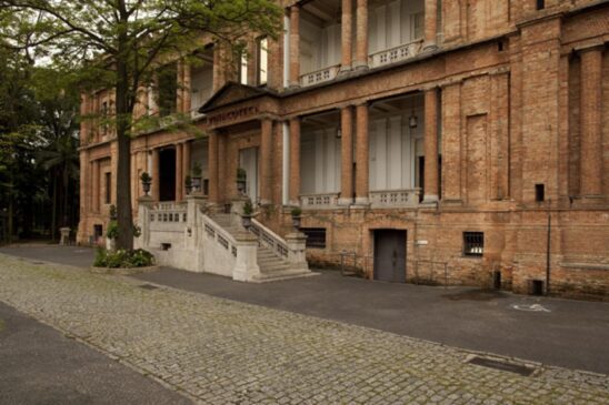 Em São Paulo, diversas instituições vão participar da semana especial, entre elas a Pinacoteca de São Paulo, no Parque da Luz