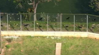 Segundo laudo da Polícia Científica, vidros se quebram devido à falta de estrutura do muro e à vibração provocada por carros