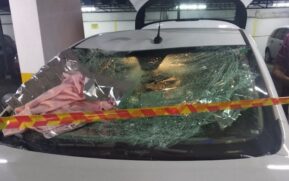 Vizinha chegava na garagem do prédio quando a menina caiu