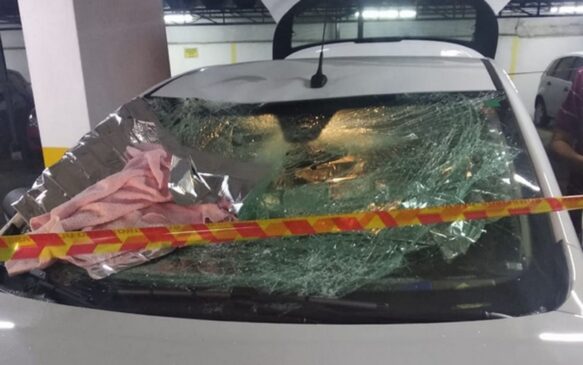 Vizinha chegava na garagem do prédio quando a menina caiu