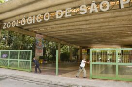Projeto pretende conceder Zoológico (foto), Zoo Safári e Jardim Botânico pelo período de 35 anos
