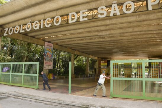 Projeto pretende conceder Zoológico (foto), Zoo Safári e Jardim Botânico pelo período de 35 anos