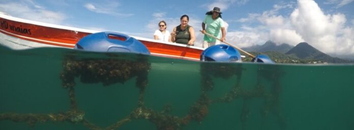 Aprovação em Caraguá inclui passeio turístico para a Fazenda de Mexilhão, existente na Cocanha, na região norte da cidade