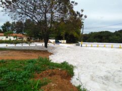 O Rio Tietê voltou a ficar coberto por espuma branca, na sexta-feira, no trecho que passa por Salto, no interior paulista