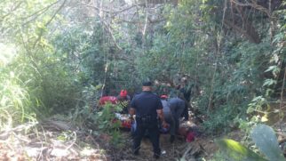 Maria do Carmo Lepinsk foi encontrada debilitada em uma zona de mata; idosa de 75 anos foi encontrada na manhã de sexta-feira