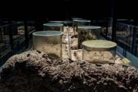 Zoológico de São Paulo reabriu na última semana o espaço educativo ENTITY_quot_ENTITYFormigueiroENTITY_quot_ENTITY; público pode ver hábitos dos insetos