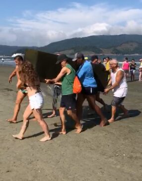 Banhistas e voluntários que faziam a coleta de microlixo nas praias de Santos se depararam com um sofá dentro do mar no sábado