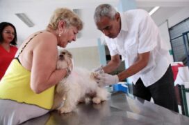 Santos libera vacina contra leishmaniose