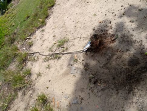Segundo secretário de Meio Ambiente, atitude caracteriza crime ambiental por destruir ou danificar vegetação de preservação