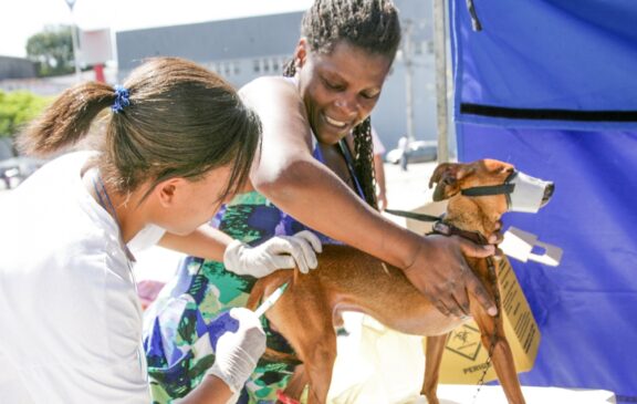 A vacinação de cães e gatos é obrigatória e a única forma de controlar a doença no meio urbano; a raiva não tem cura