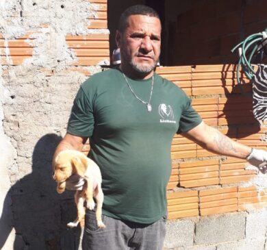 Os animais foram encontrados desnutridos e em condições precárias bairro Jardim Boa Esperança, no Guarujá