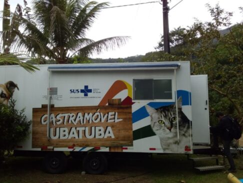 Somente em 2019 já foram encaminhados 1.652 animais para castração na cidade; 58 cirurgias foram feitas no Castramóvel