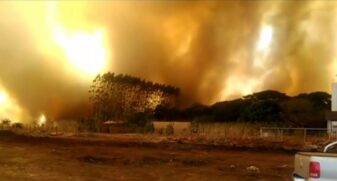 Em Rio Branco, no Acre, o fogo consome a mata; a Amazônia concentra 52,5% das queimadas