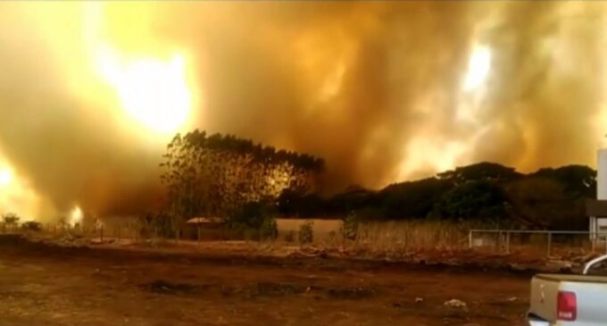 Em Rio Branco, no Acre, o fogo consome a mata; a Amazônia concentra 52,5% das queimadas