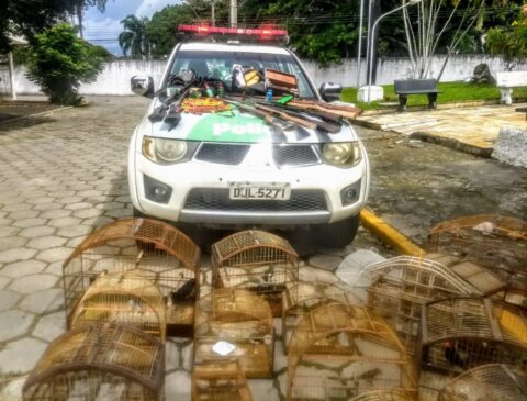 Na casa de um dos suspeitos a polícia ambiental encontrou 73 munições, quatro espingardas de pressão e 22 aves silvestres