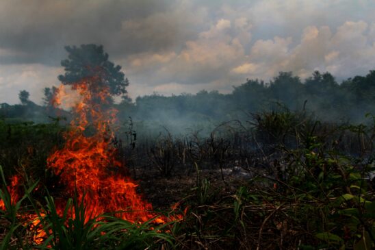 Queimada é vista em área de plantação de mandioca em Lábrea Amazonas; Lábrea é uma das cidades em estado do emergência