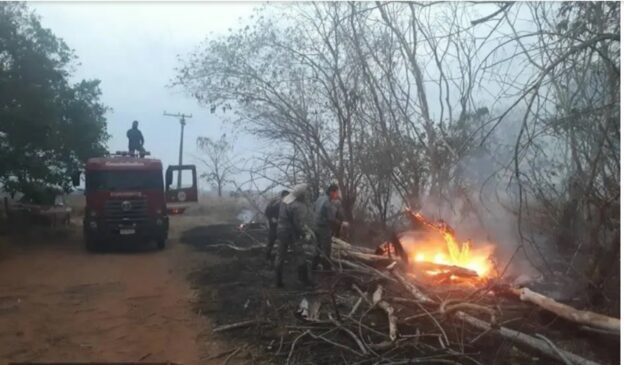Chamas consumiram ao menos 3 mil hectares na reserva ambiental Foz do Aguapeí, em Castilho