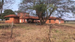 Fazenda Fitti, com 242,73 hectares, na cidade de Araraquara