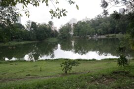 Em maio a Gazeta visitou o Parque da Aclimação, na zona sul