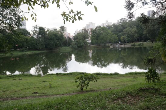 Em maio a Gazeta visitou o Parque da Aclimação, na zona sul