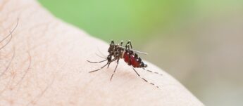 A malária é uma doença infecciosa causada por protozoários que são transmitidos pela fêmea do mosquito Anopheles