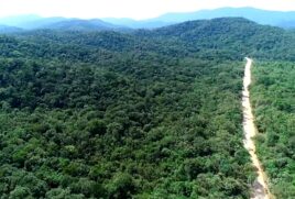 O centro logístico é um investimento privado de R$ 780 milhões e pode desmatar 38 hectares de Mata Atlântica que fica na cidade