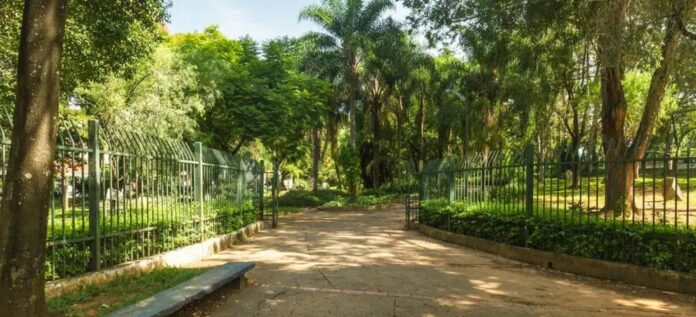 O caso aconteceu no Parque Rodrigo de Gásperi, conhecido como Parque da Lagoa, na zona norte