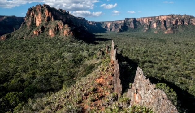 A vista da Chapada dos Guimarães, no Mato Grosso, impressiona pelas formações rochosas. Criadas pela ação da chuva, rios e vento, os paredões se destacam em meio ao verde do cerrado e o céu, quase sempre azul. É bom sempre levar um boné ou chapéu e óculos
