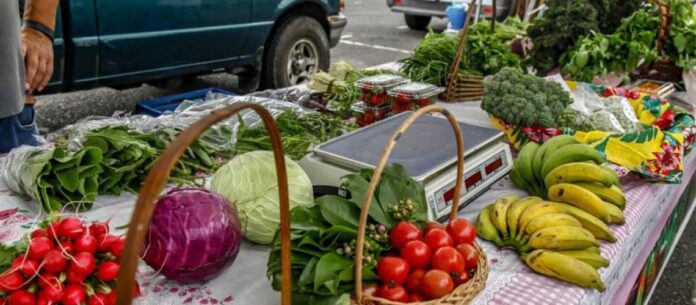 Segundo a Ceagesp, no mês passado os preços dos hortifrúti subiram 1,59%