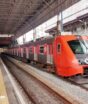 Linha 7-Rubi terá lentidão e intervalos mais longos neste domingo para retirada de árvore dos trilhos