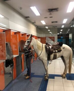 Homem entrou com o cavalo em uma agência da região central