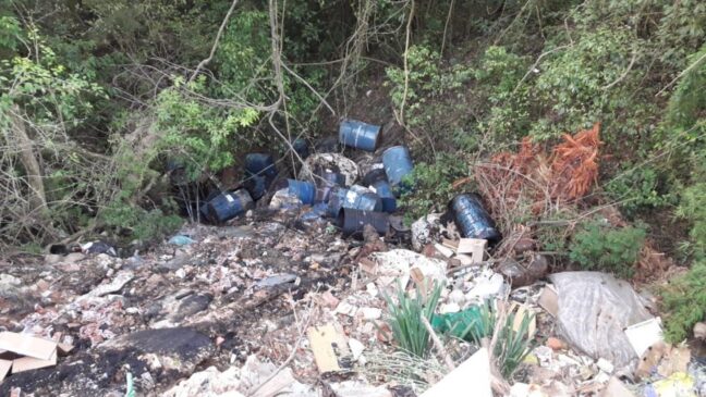 Técnicos da Secretaria do Meio Ambiente foram ao local para recolher e identificar o material
