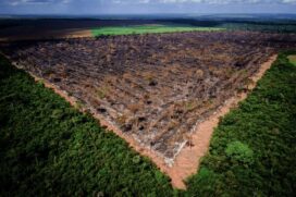 O desmatamento na Amazônia subiu entre 1º de agosto do ano passado e 31 de julho deste ano