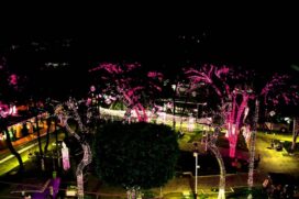 O 'Natal Iluminado' da cidade de Tabo&atilde;o da Serra &eacute; uma das principais atra&ccedil;&otilde;es do Estado todos os finais de ano
