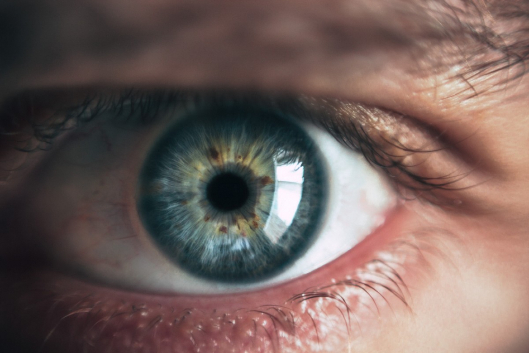 Oftalmologistas oferecem orientação online sobre retinopatia diabética