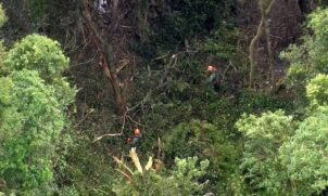 A aeronave caiu em uma área de mata da estrada Santa Inês, altura do número 10, na divisa de São Paulo com Mairiporã