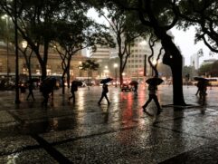 Segundo dados do CGE da Prefeitura de SP, as chuvas vêm sem mantendo abaixo da média desde agosto de 2019