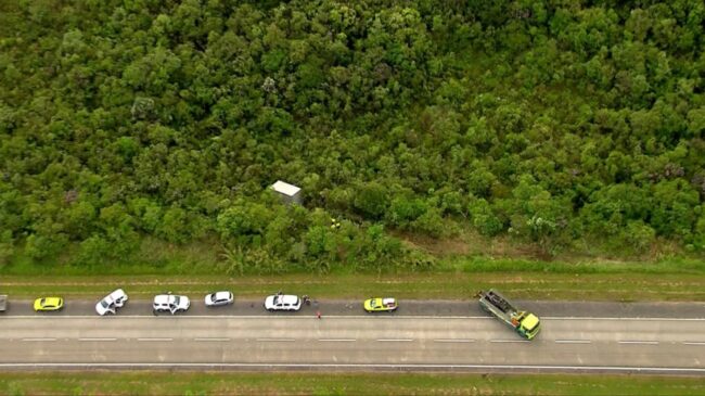 Criminosos abandonaram caminhão na mata às margens da rodovia dos Imigrantes, em São Bernardo do Campo, no ABC