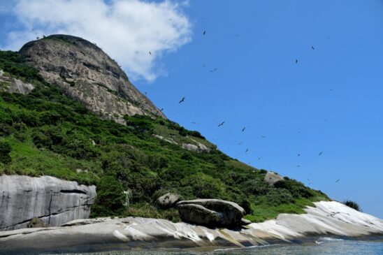 Com grande biodiversidade marinha e insular, Refúgio de Alcatrazes atrai mergulhadores do Brasil e do mundo