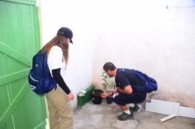 Em 30 de novembro, trezentas pessoas vistoriaram 3.633 imóveis