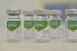 As crian&ccedil;as t&ecirc;m entre sete meses e quatro anos de idade e deveriam ter sido imunizadas contra a gripe