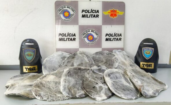 De acordo com a polícia, a droga foi encontrada dentro de uma caixa de sapatos e também amarradas em suas pernas