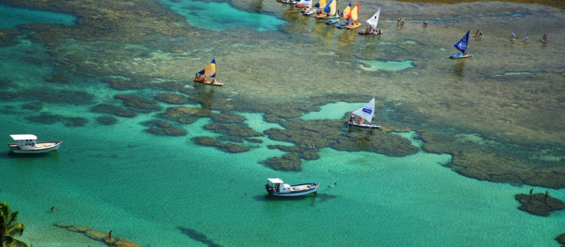 Piscinas Naturais de Porto de Galinhas