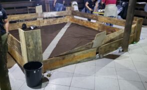 As polícias do Paraná e de São Paulo se uniram para fazer a batida no local
